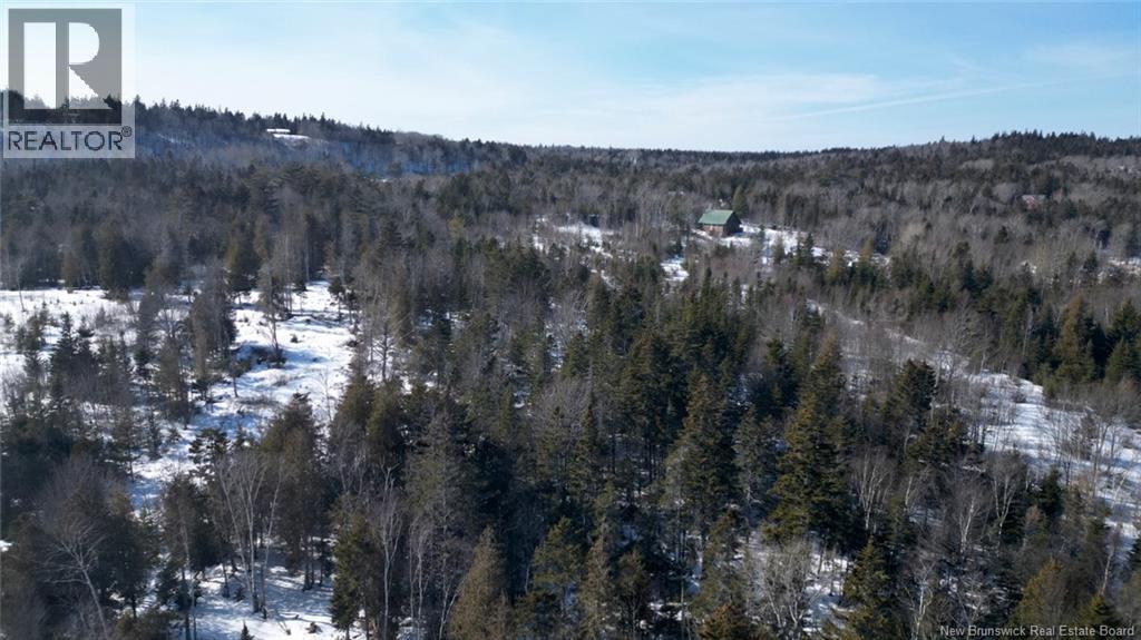 176 Route 776, Grand Manan, New Brunswick  E5G 1A3 - Photo 3 - NB134754