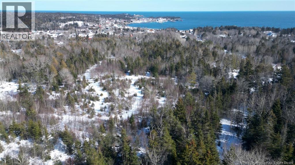 176 Route 776, Grand Manan, New Brunswick  E5G 1A3 - Photo 6 - NB134754