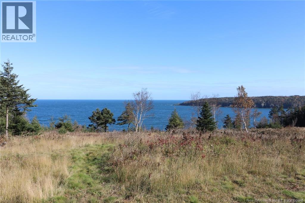 Lot 10-04 Golden Mile Drive, Grand Manan, New Brunswick  E5G 1N1 - Photo 27 - NB141651