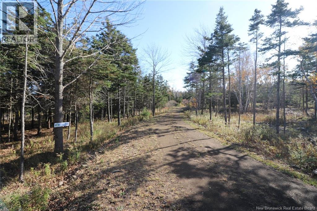 Lot 10-03 Golden Mile Drive, Grand Manan, New Brunswick E5G 1N1 - Photo 15 - NB141648