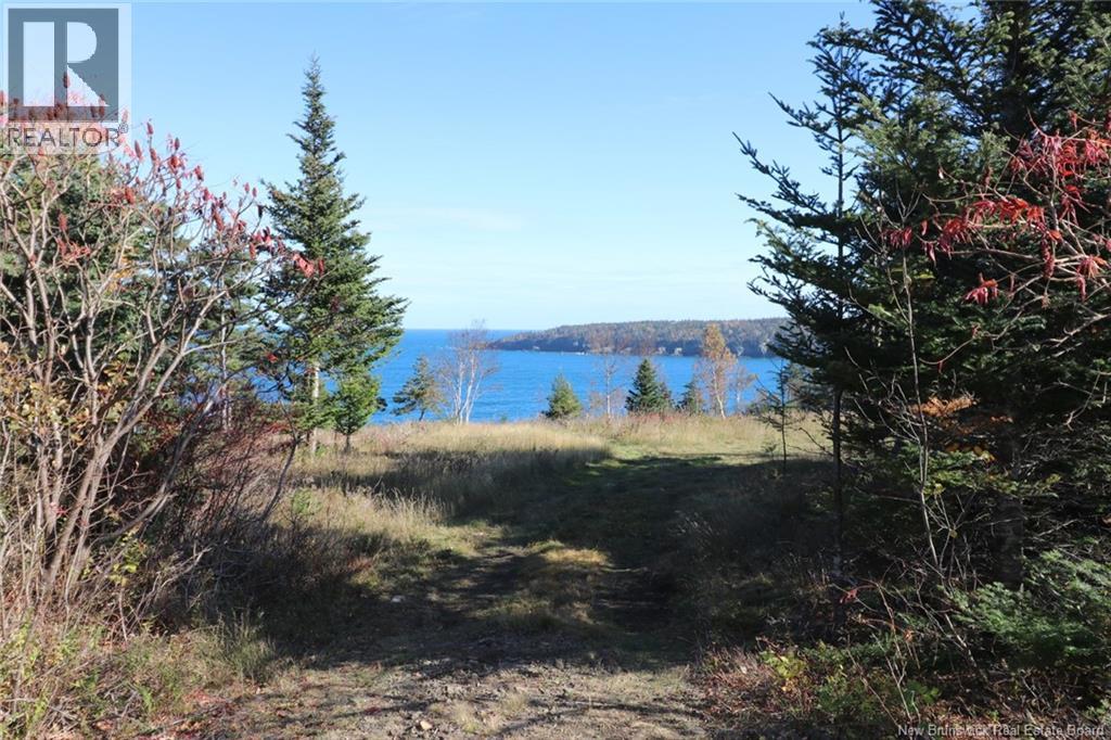Lot 10-03 Golden Mile Drive, Grand Manan, New Brunswick E5G 1N1 - Photo 18 - NB141648