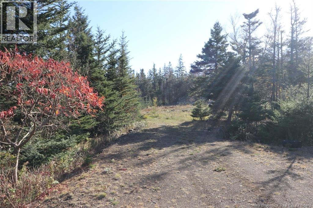 Lot 10-03 Golden Mile Drive, Grand Manan, New Brunswick E5G 1N1 - Photo 21 - NB141648