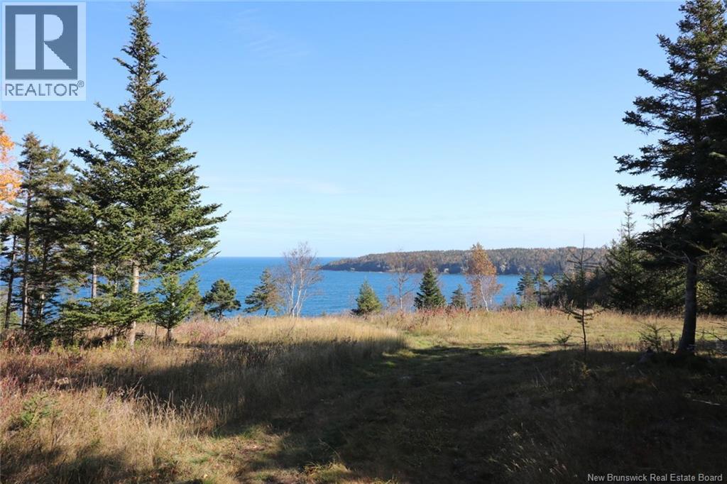 Lot 10-03 Golden Mile Drive, Grand Manan, New Brunswick E5G 1N1 - Photo 24 - NB141648