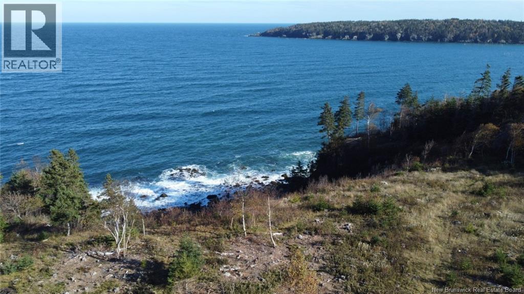 Lot 10-02 Golden Mile Drive, Grand Manan, New Brunswick  E5G 1N1 - Photo 11 - NB141645