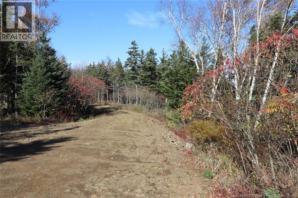 Lot 10-02 Golden Mile Drive, Grand Manan, New Brunswick  E5G 1N1 - Photo 22 - NB141645