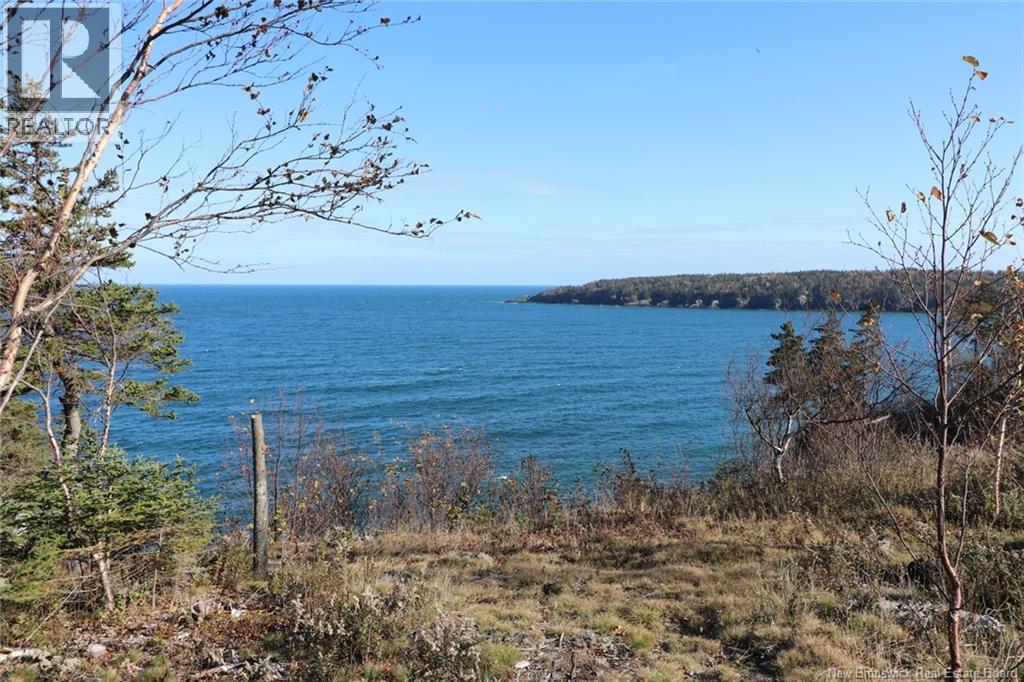 Lot 10-02 Golden Mile Drive, Grand Manan, New Brunswick  E5G 1N1 - Photo 27 - NB141645