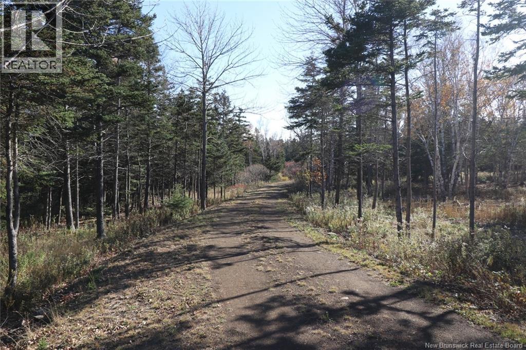 Lot 10-01 Golden Mile Drive, Grand Manan, New Brunswick E5G 1N1 - Photo 16 - NB141569