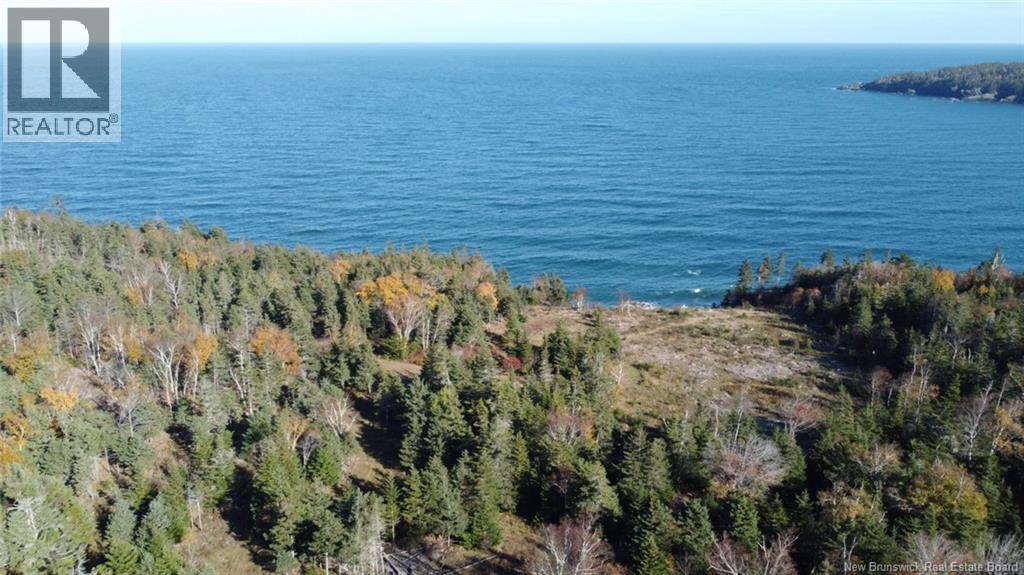 Lot 10-01 Golden Mile Drive, Grand Manan, New Brunswick E5G 1N1 - Photo 5 - NB141569