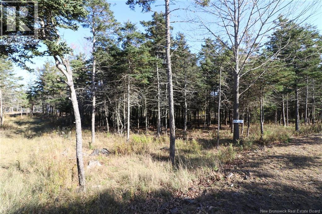 Lot 10-06 Golden Mile Drive, Grand Manan, New Brunswick  E5G 1N1 - Photo 16 - NB141654