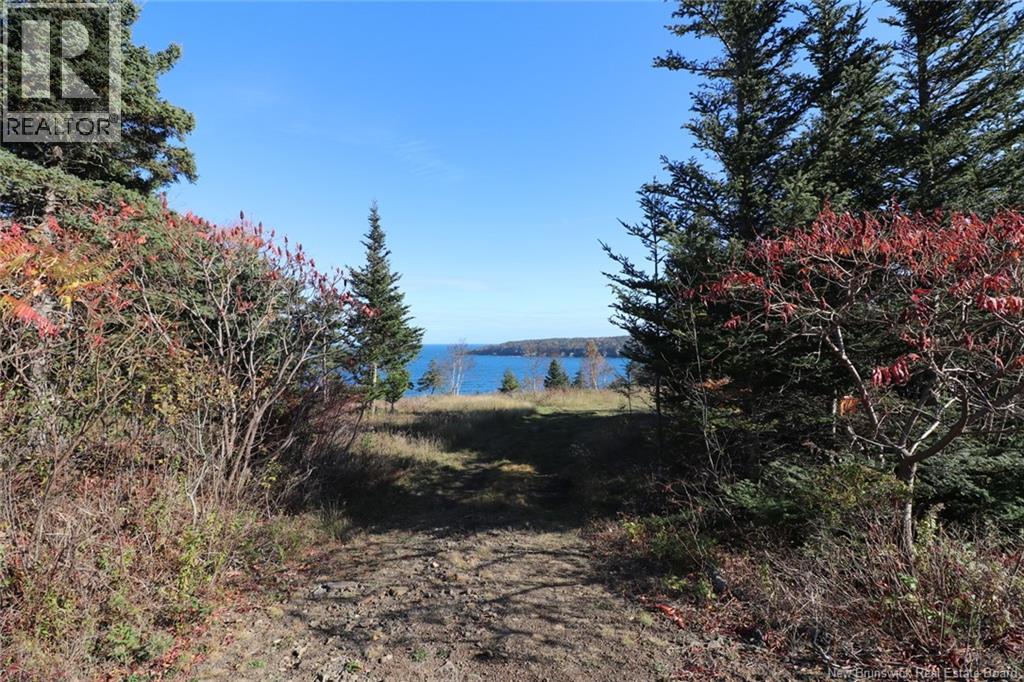 Lot 10-06 Golden Mile Drive, Grand Manan, New Brunswick  E5G 1N1 - Photo 19 - NB141654