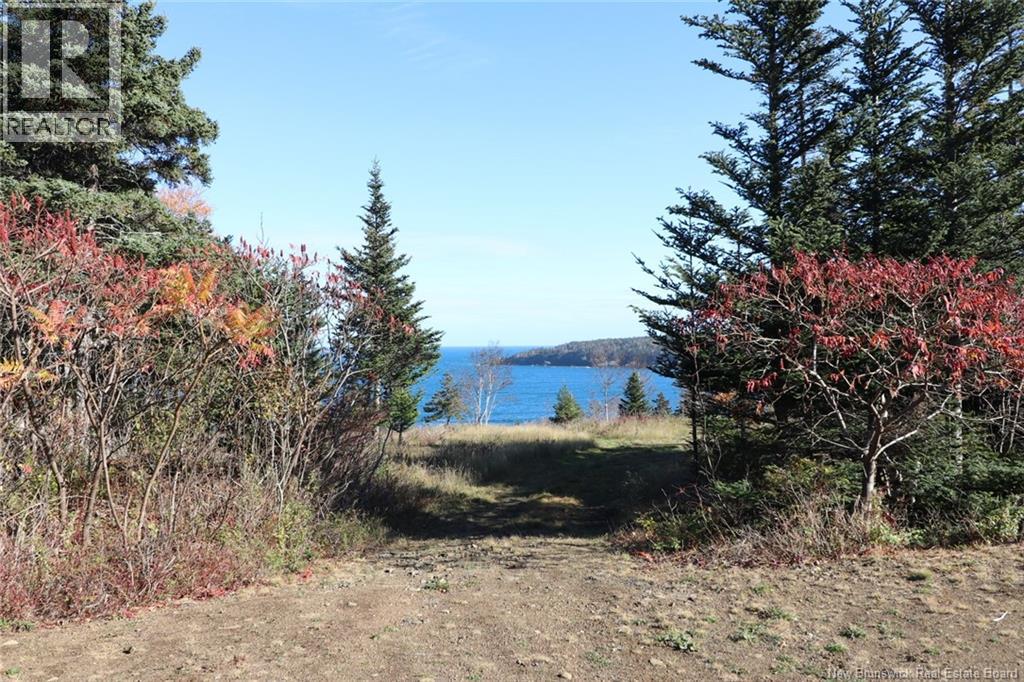 Lot 10-06 Golden Mile Drive, Grand Manan, New Brunswick  E5G 1N1 - Photo 21 - NB141654