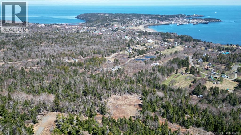 Lot 15-04 Ohio Pond Road, Grand Manan, New Brunswick E5G 4B4 - Photo 1 - NB141726