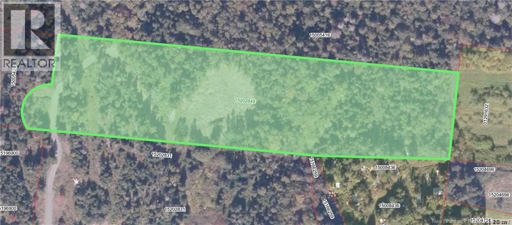 Lot 15-04 Ohio Pond Road, Grand Manan, New Brunswick E5G 4B4 - Photo 10 - NB141726