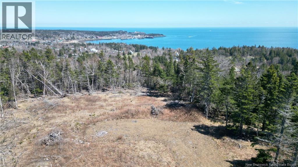 Lot 15-04 Ohio Pond Road, Grand Manan, New Brunswick E5G 4B4 - Photo 2 - NB141726