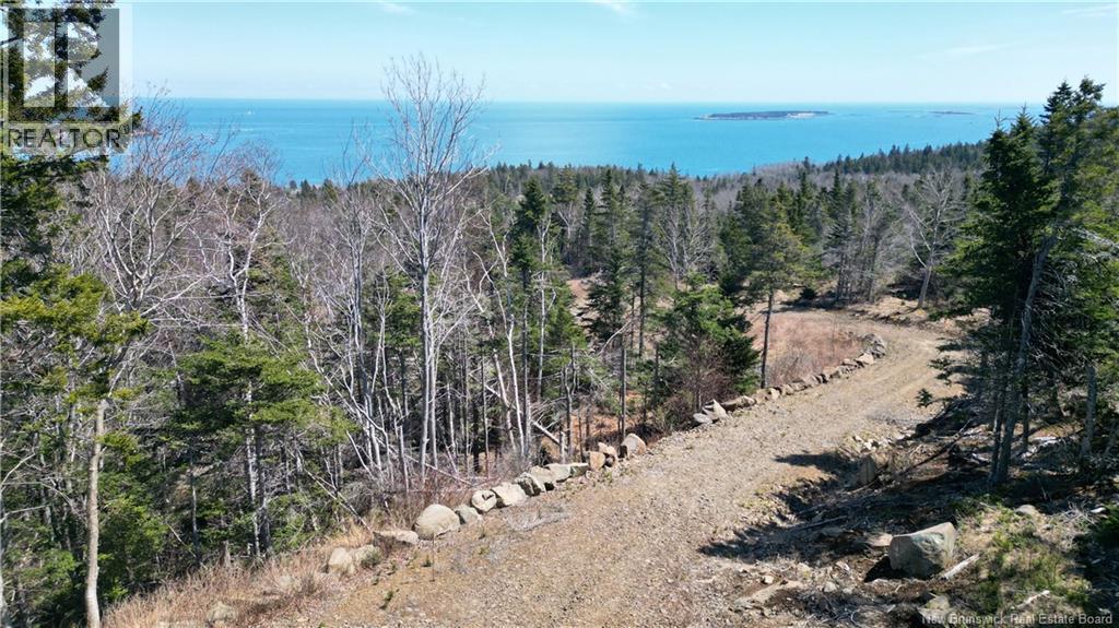Lot 15-04 Ohio Pond Road, Grand Manan, New Brunswick E5G 4B4 - Photo 3 - NB141726