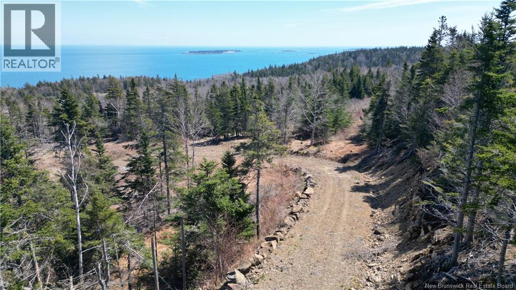 Lot 15-04 Ohio Pond Road, Grand Manan, New Brunswick E5G 4B4 - Photo 4 - NB141726
