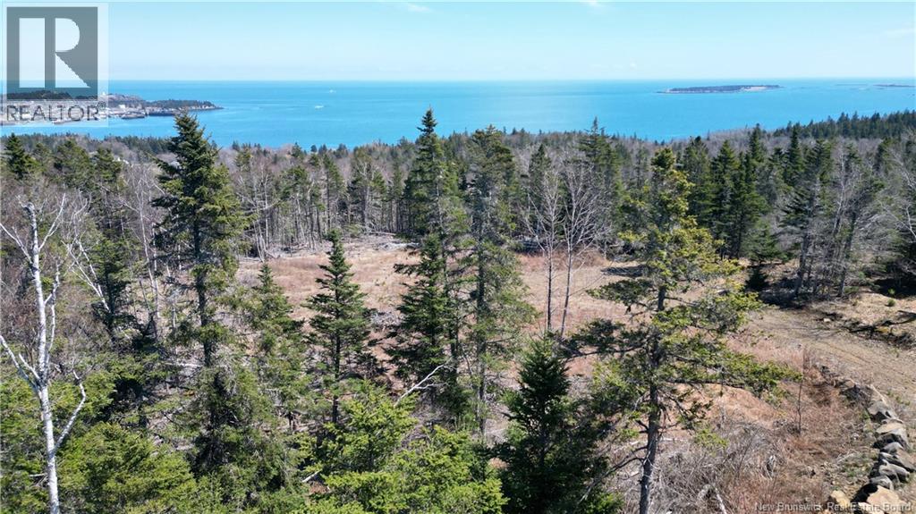 Lot 15-04 Ohio Pond Road, Grand Manan, New Brunswick E5G 4B4 - Photo 6 - NB141726