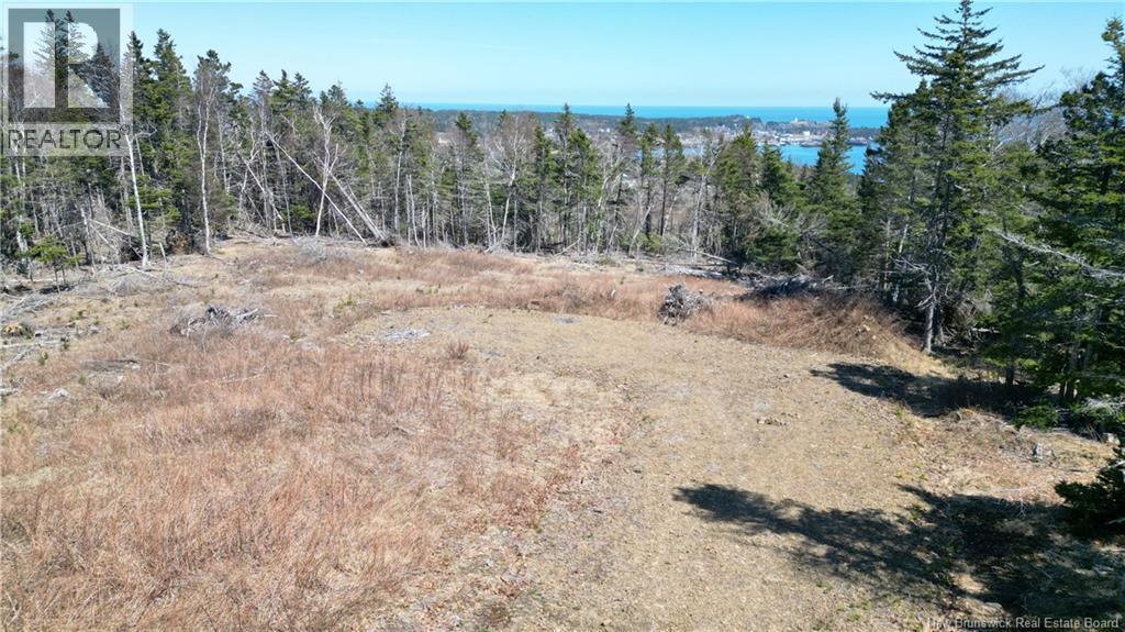 Lot 15-04 Ohio Pond Road, Grand Manan, New Brunswick E5G 4B4 - Photo 7 - NB141726