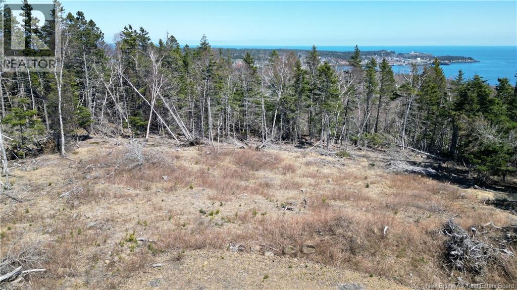 Lot 15-04 Ohio Pond Road, Grand Manan, New Brunswick E5G 4B4 - Photo 8 - NB141726