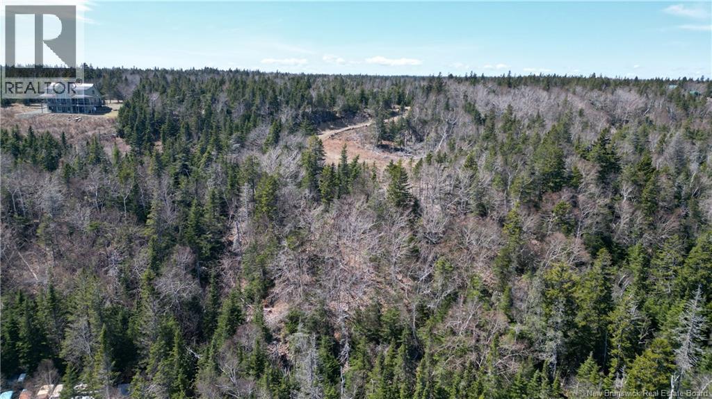 Lot 15-04 Ohio Pond Road, Grand Manan, New Brunswick E5G 4B4 - Photo 9 - NB141726