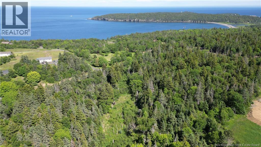 Whistle Road, Grand Manan, New Brunswick  E5G 1B4 - Photo 1 - NB142252