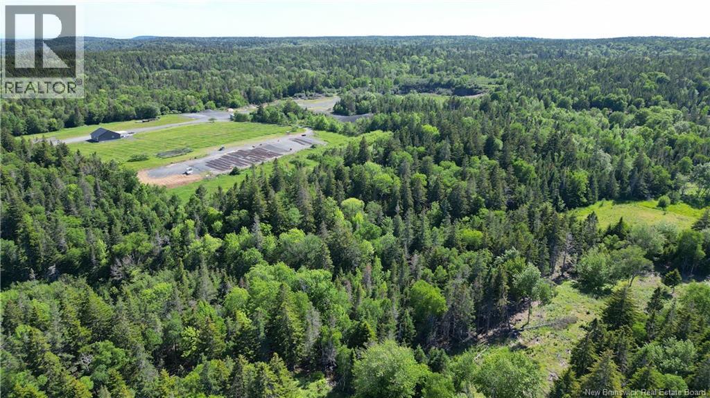 Whistle Road, Grand Manan, New Brunswick  E5G 1B4 - Photo 11 - NB142252