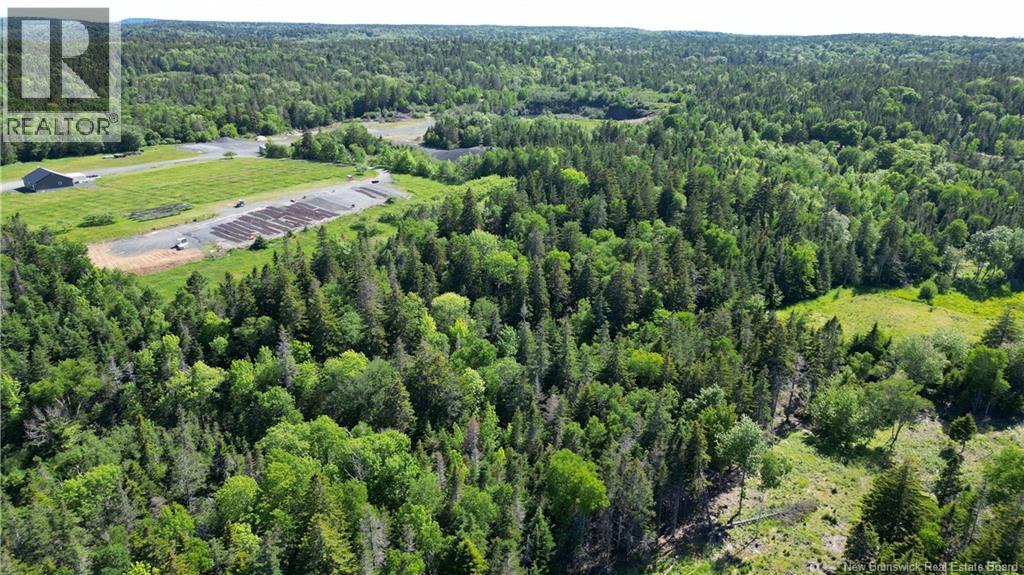 Whistle Road, Grand Manan, New Brunswick  E5G 1B4 - Photo 12 - NB142252