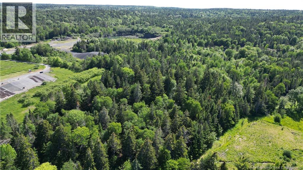 Whistle Road, Grand Manan, New Brunswick  E5G 1B4 - Photo 13 - NB142252