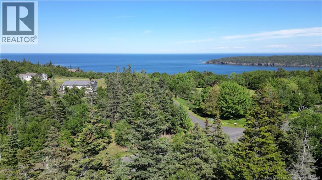 Whistle Road, Grand Manan, New Brunswick  E5G 1B4 - Photo 14 - NB142252