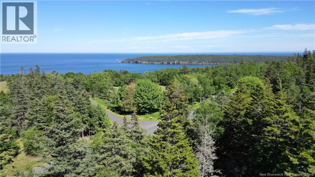 Whistle Road, Grand Manan, New Brunswick  E5G 1B4 - Photo 15 - NB142252
