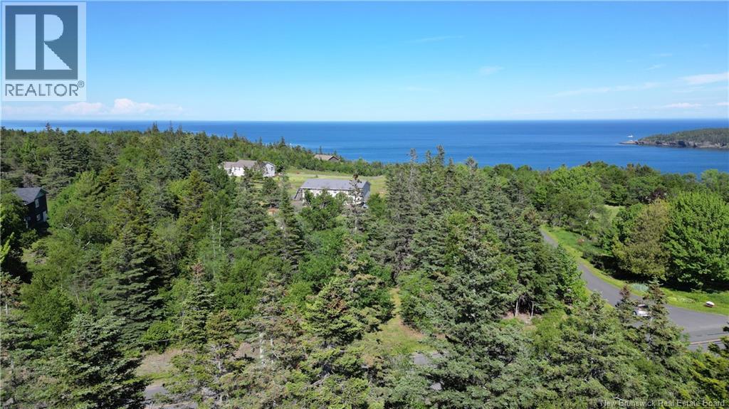Whistle Road, Grand Manan, New Brunswick  E5G 1B4 - Photo 16 - NB142252