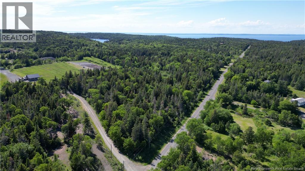 Whistle Road, Grand Manan, New Brunswick  E5G 1B4 - Photo 2 - NB142252