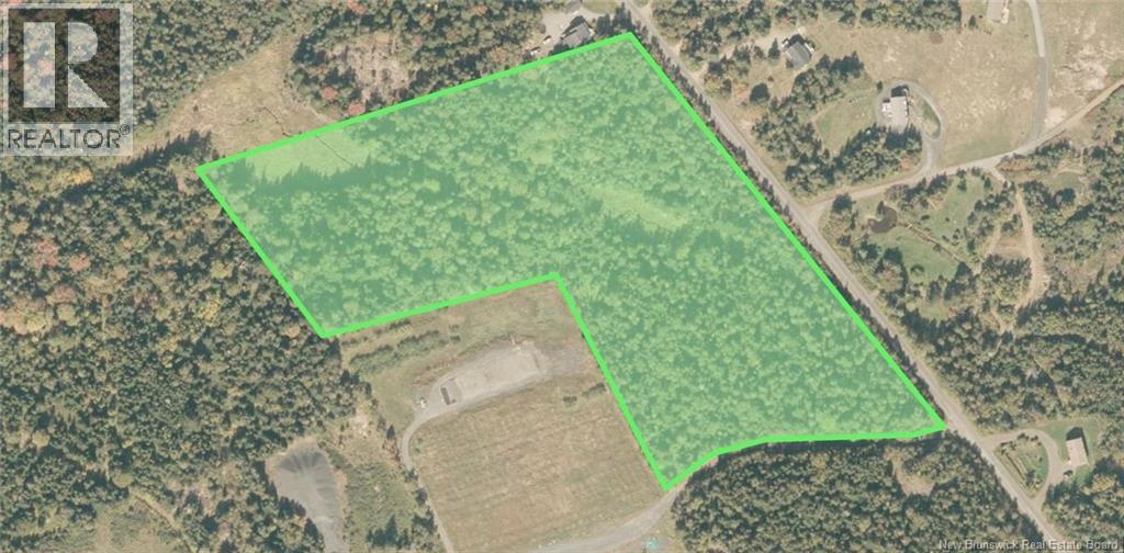 Whistle Road, Grand Manan, New Brunswick  E5G 1B4 - Photo 3 - NB142252