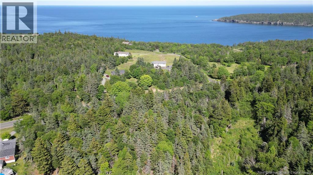 Whistle Road, Grand Manan, New Brunswick  E5G 1B4 - Photo 4 - NB142252