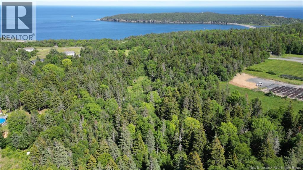 Whistle Road, Grand Manan, New Brunswick  E5G 1B4 - Photo 5 - NB142252