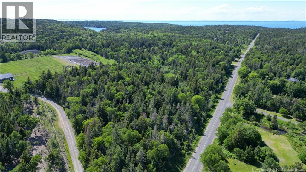 Whistle Road, Grand Manan, New Brunswick  E5G 1B4 - Photo 6 - NB142252