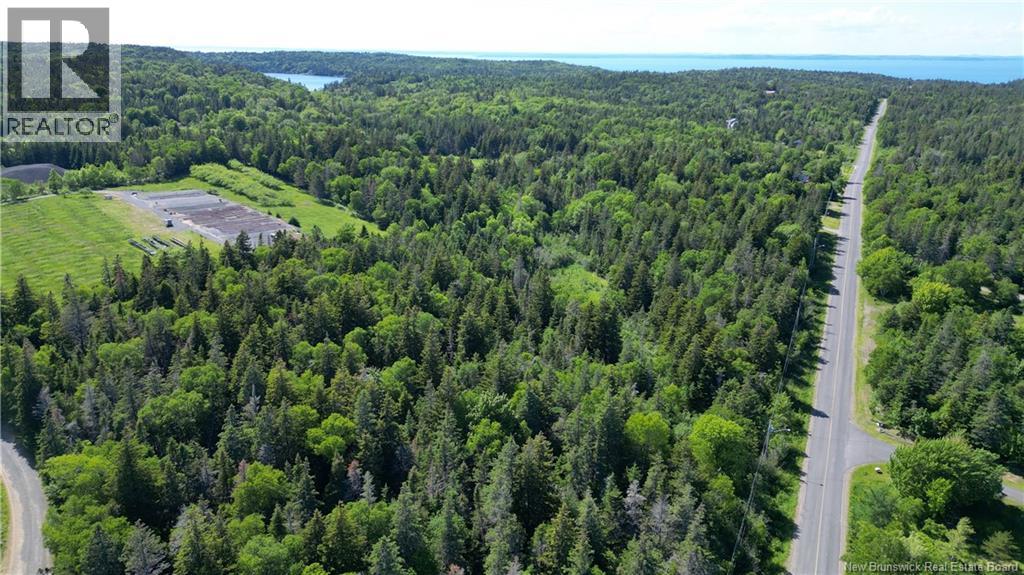 Whistle Road, Grand Manan, New Brunswick  E5G 1B4 - Photo 7 - NB142252