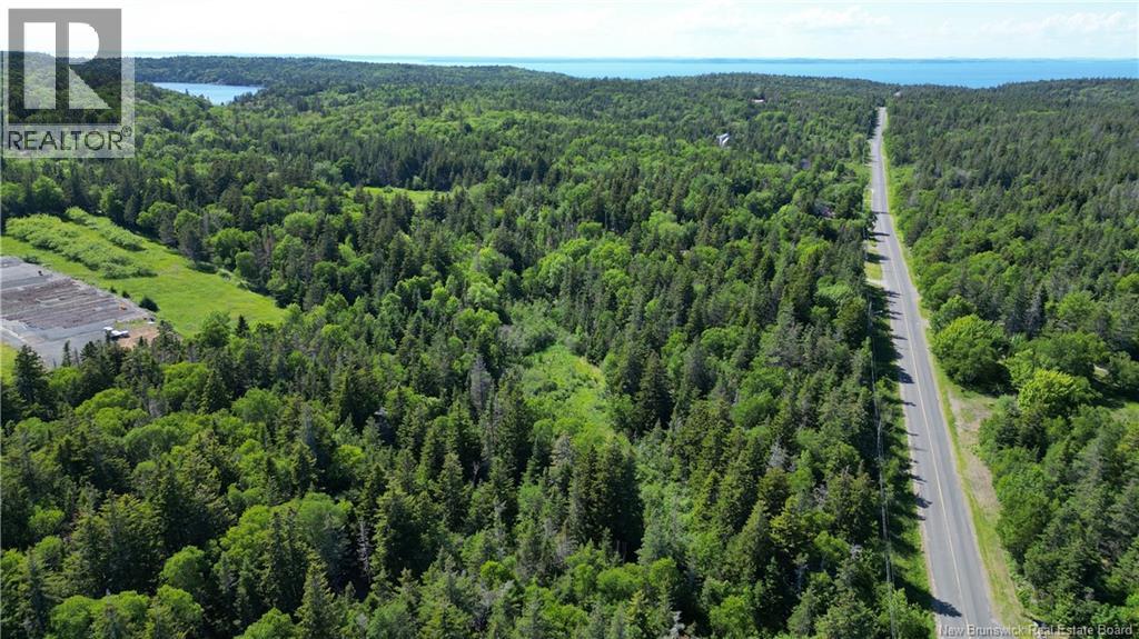 Whistle Road, Grand Manan, New Brunswick  E5G 1B4 - Photo 8 - NB142252