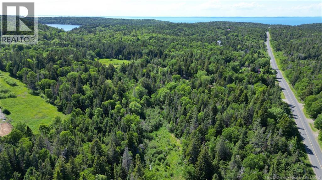 Whistle Road, Grand Manan, New Brunswick  E5G 1B4 - Photo 9 - NB142252