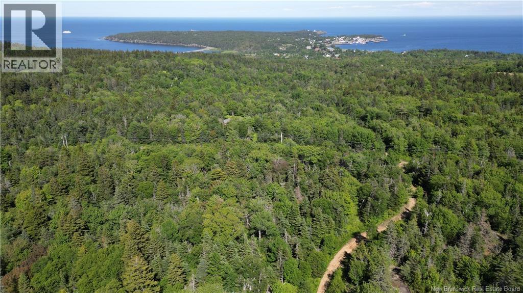 Land Stanley Brook, Grand Manan, New Brunswick E5G 1L8 - Photo 1 - NB143148