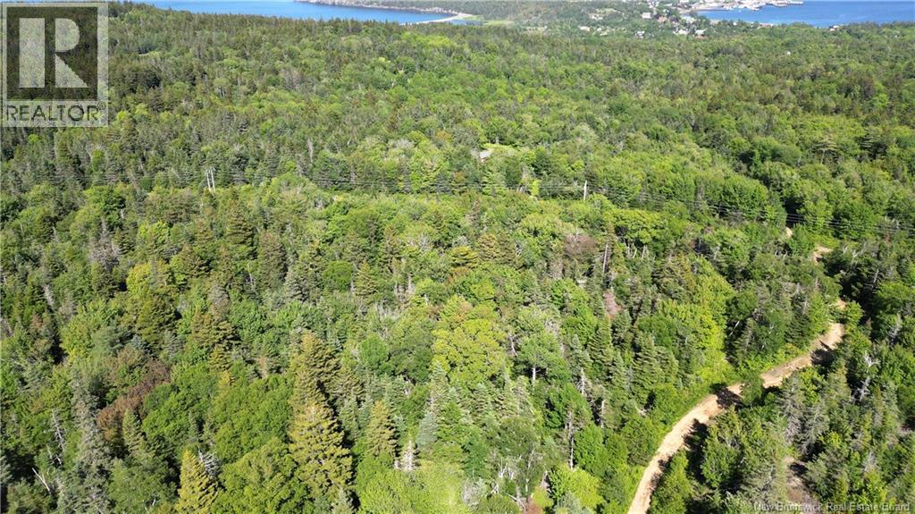 Land Stanley Brook, Grand Manan, New Brunswick E5G 1L8 - Photo 10 - NB143148