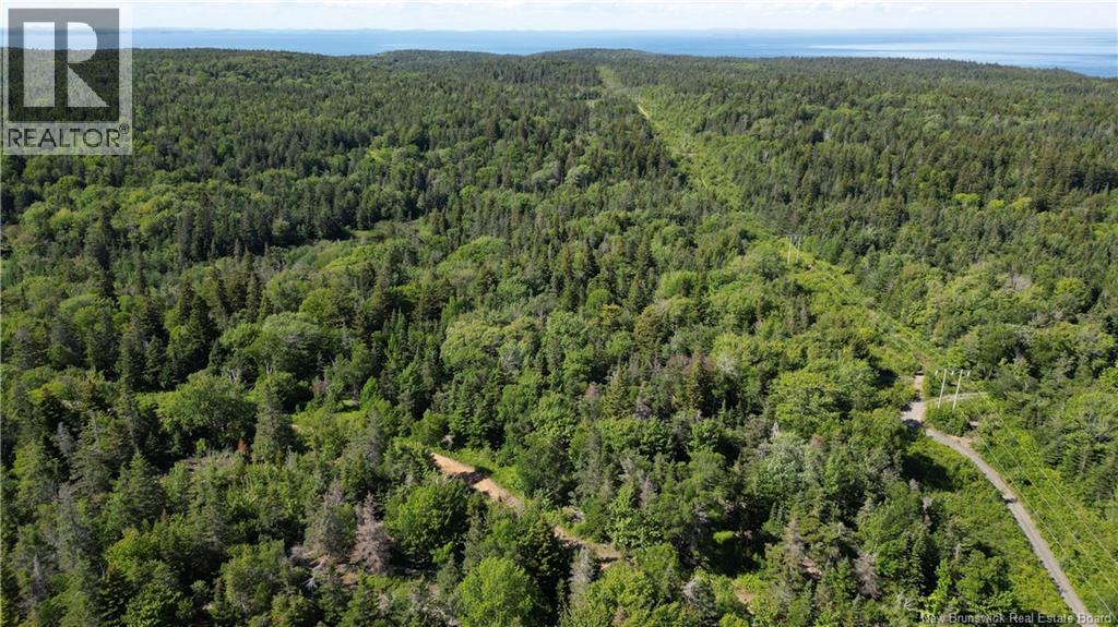 Land Stanley Brook, Grand Manan, New Brunswick E5G 1L8 - Photo 11 - NB143148