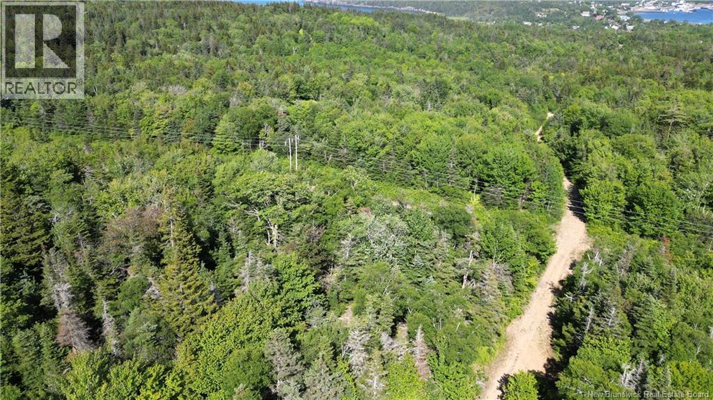 Land Stanley Brook, Grand Manan, New Brunswick E5G 1L8 - Photo 12 - NB143148