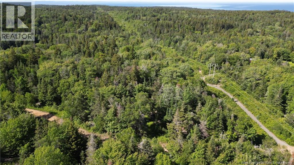 Land Stanley Brook, Grand Manan, New Brunswick E5G 1L8 - Photo 13 - NB143148
