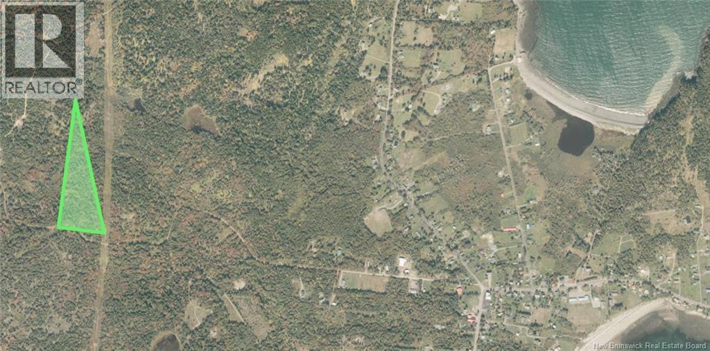 Land Stanley Brook, Grand Manan, New Brunswick E5G 1L8 - Photo 2 - NB143148