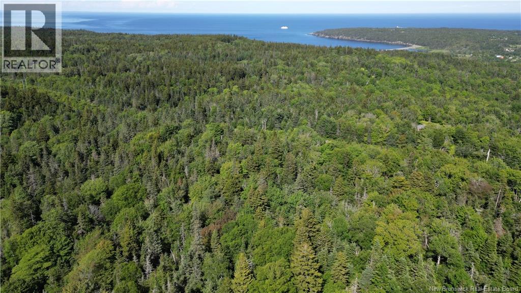 Land Stanley Brook, Grand Manan, New Brunswick E5G 1L8 - Photo 3 - NB143148