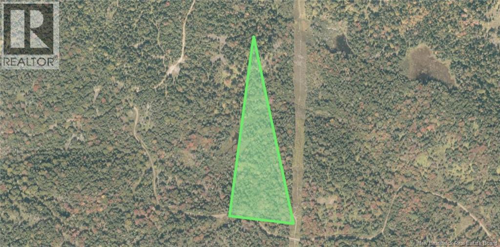 Land Stanley Brook, Grand Manan, New Brunswick E5G 1L8 - Photo 4 - NB143148