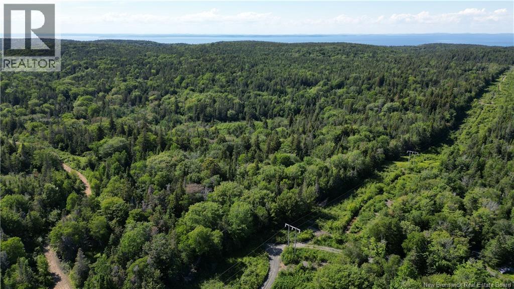 Land Stanley Brook, Grand Manan, New Brunswick E5G 1L8 - Photo 5 - NB143148