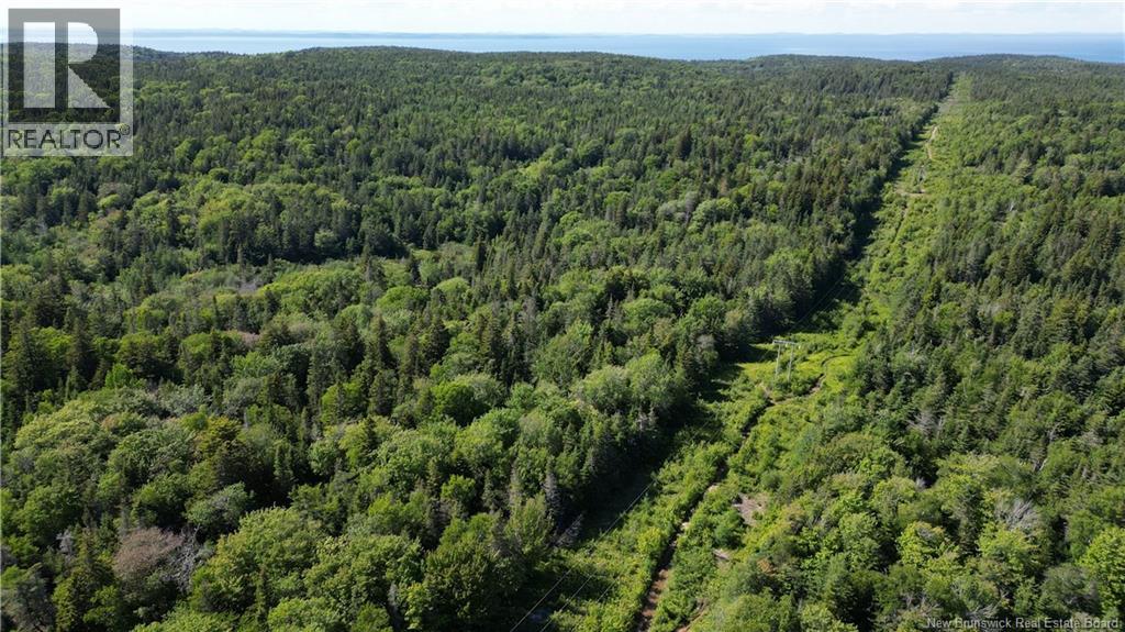 Land Stanley Brook, Grand Manan, New Brunswick E5G 1L8 - Photo 6 - NB143148