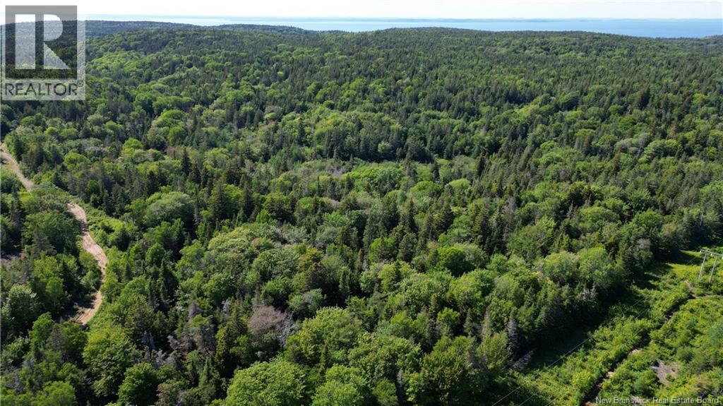 Land Stanley Brook, Grand Manan, New Brunswick E5G 1L8 - Photo 7 - NB143148